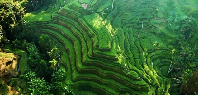 Ubud