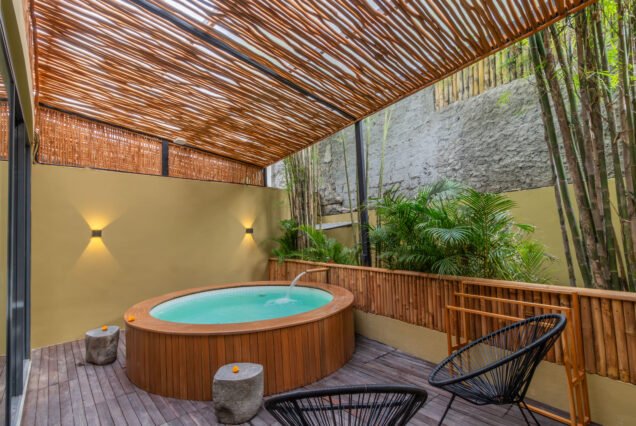 Suite Plunge Pool