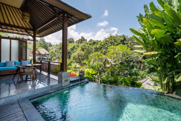 One Bedroom Villa With Private Pool 2