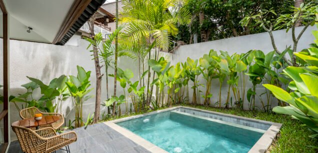 Deluxe Room with Pool