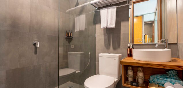 Deluxe Room with Pool
