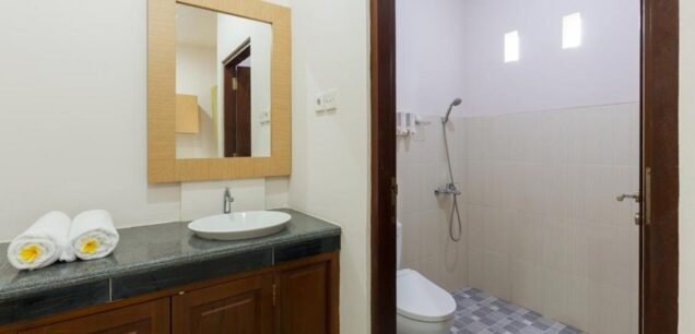 Deluxe Bathroom
