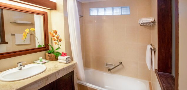 Deluxe Room - Bathroom