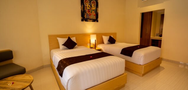 Superior Twin Room