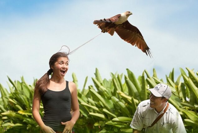 bali bird park 2