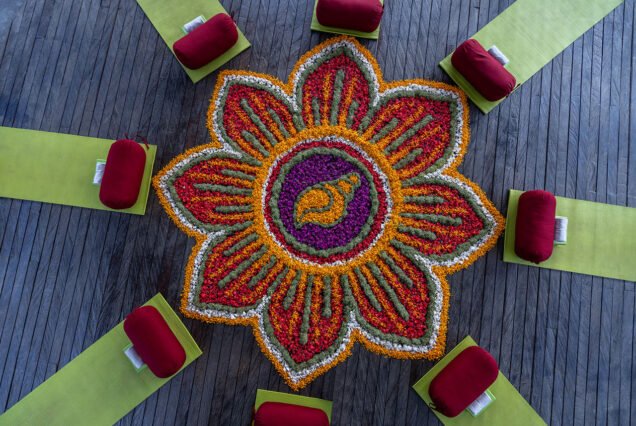 The Yoga Center