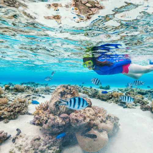 Snorkeling Nusa Penida